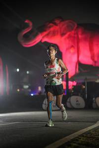 BIB: 
                            <button type="button" onclick="openModal(26531098)" class="btn btn-primary btn-sm float-right btn-popup" data-toggle="modal" data-target=".modal-high-quality">
                        <i class="fas fa-shopping-cart"></i> Add to Cart
                    </button>
                                            <button type="button" onclick="isThisMe(26531098, true)" class="btn btn-success btn-sm float-right btn-popup btn-isme hidden" data-toggle="tooltip" data-placement="bottom" title="นี่คือรูปของคุณใช่ไหม คลิกที่นี่เพื่อเอาเข้าอัลบั้ม">
                        <i class="fas fa-plus"></i> Add to album
                    </button>
                    <button type="button" onclick="isThisMe(26531098, false)" class="btn btn-warning btn-sm float-right btn-popup btn-isnotme hidden">
                        <i class="fas fa-ban"></i> Remove from album
                    </button>